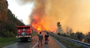 Rüzgarın etkisiyle kısa sürede büyüyen yangın 15 hektar alanı kül…